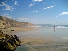 Black's Beach